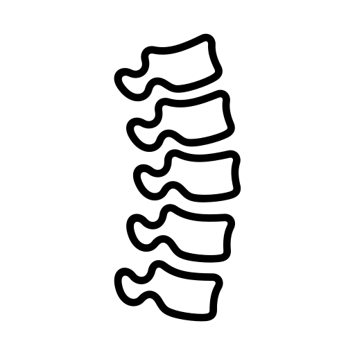 sistema de columna