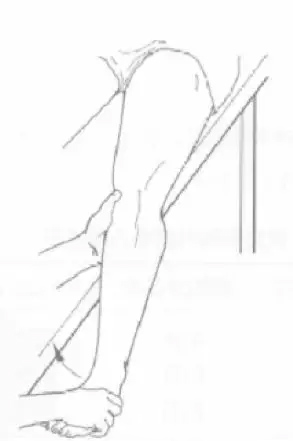 Articulaci&oacute;n de rodilla-17 