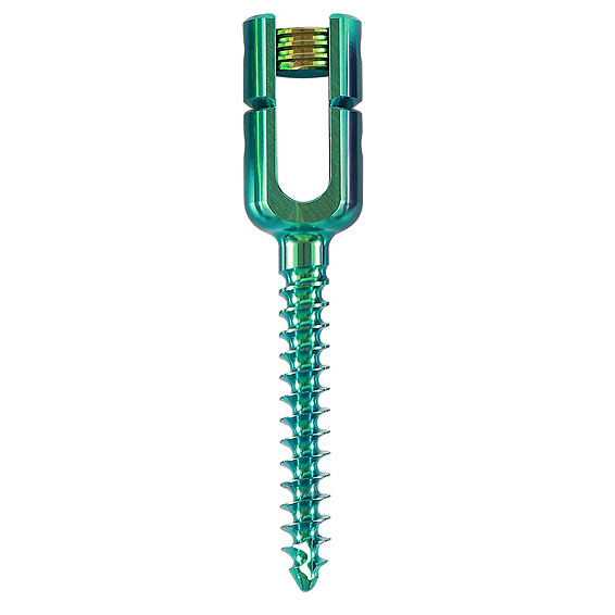 Tornillo de reducción monoaxial 6.0 (largo)