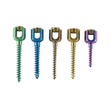 Tornillo pedicular monoaxial 6.0