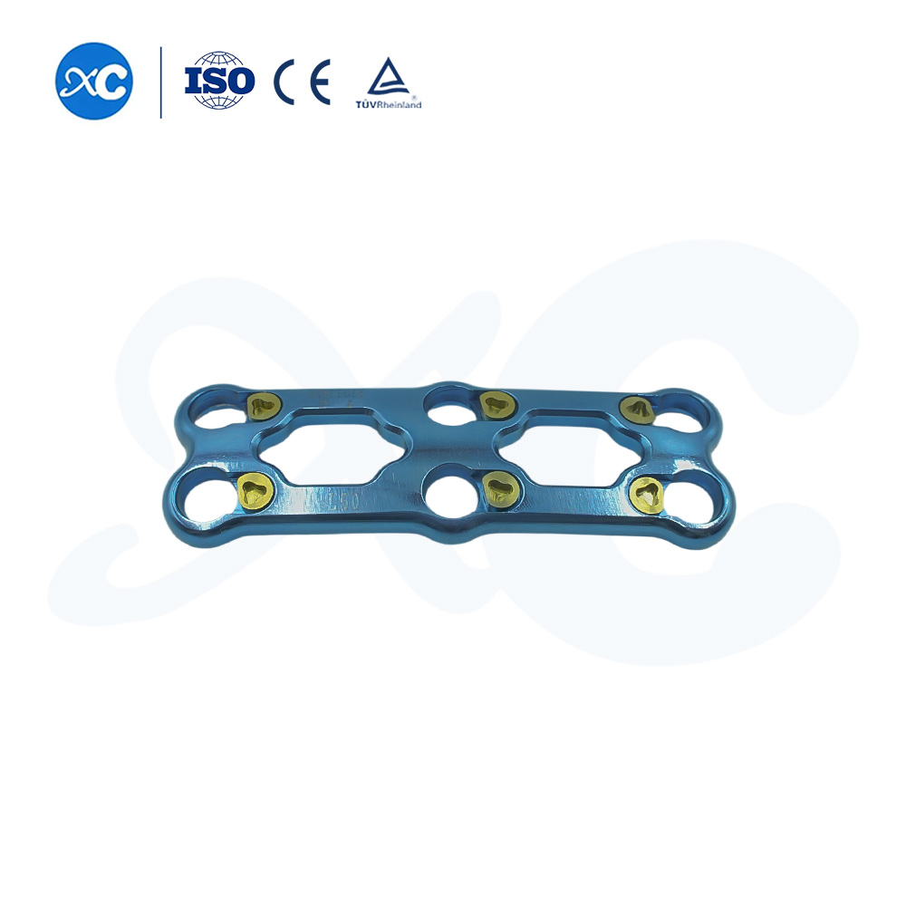 Placa cervical anterior-III