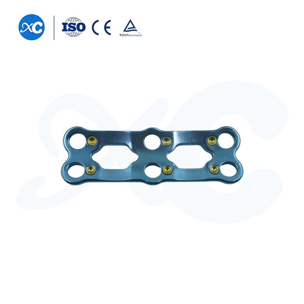 Placa cervical anterior-III
