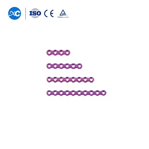 2.4 Placa de bloqueo para reconstrucción
