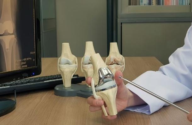 Articulaciones de cadera y rodilla