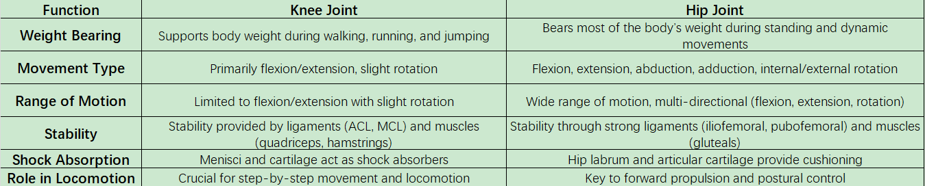 ¿Cuáles son las funciones del sistema de articulaciones de rodilla y cadera?