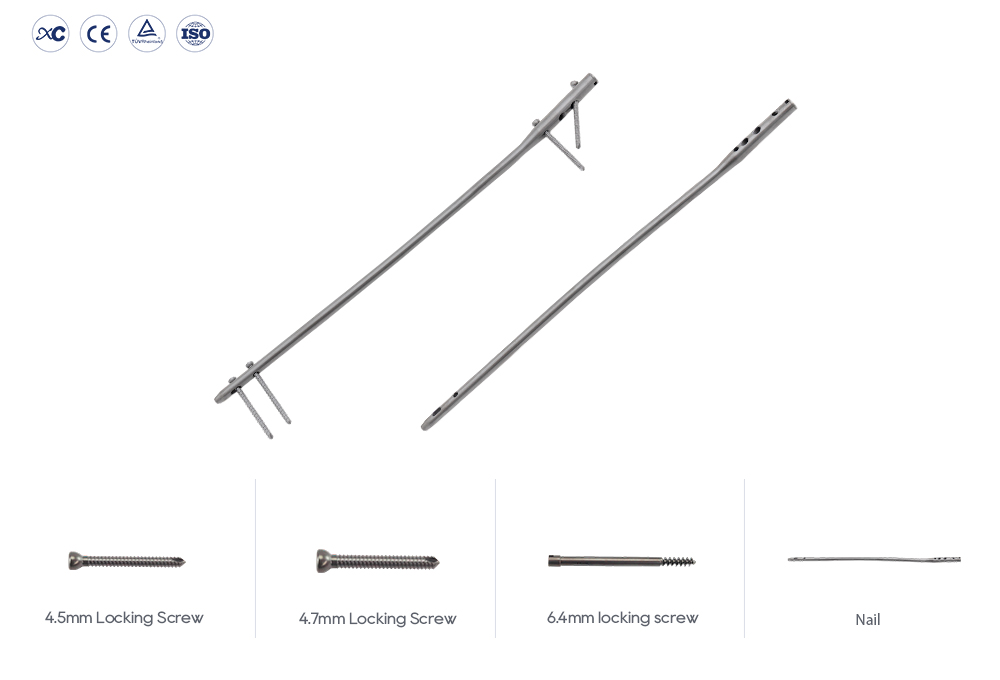 Implantes de clavos intramedulares para reconstrucci&oacute;n femoral Expert