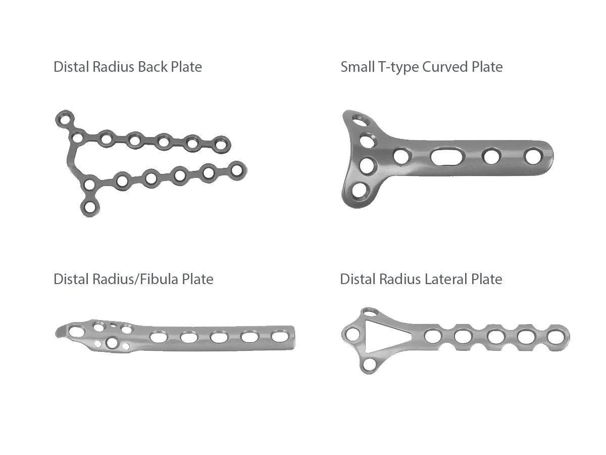 Dorsal and column-specific plate families