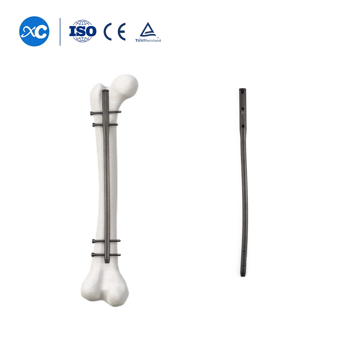Sistema de clavo intramedular femoral