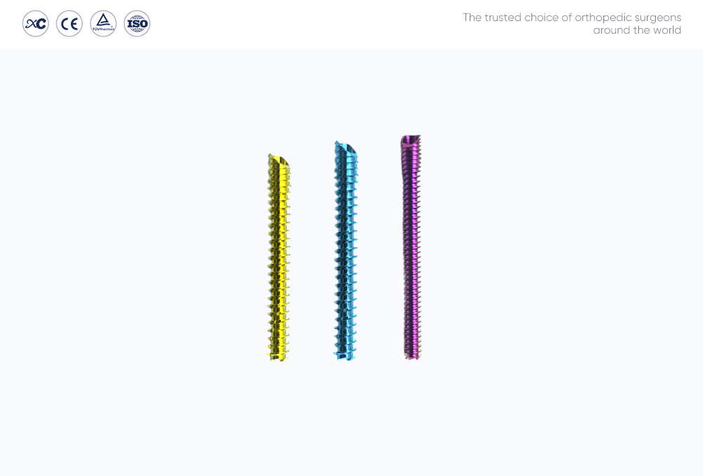 Sistema de tornillos de compresi&oacute;n sin cabeza y juego de instrumentos 3.0/3.5/4.0
