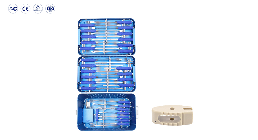Conjunto de instrumentos de fusi&oacute;n intersom&aacute;tica y jaula lumbar PLIF PEEK