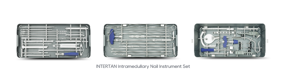 Juego de instrumentos para clavo intramedular INTERTAN