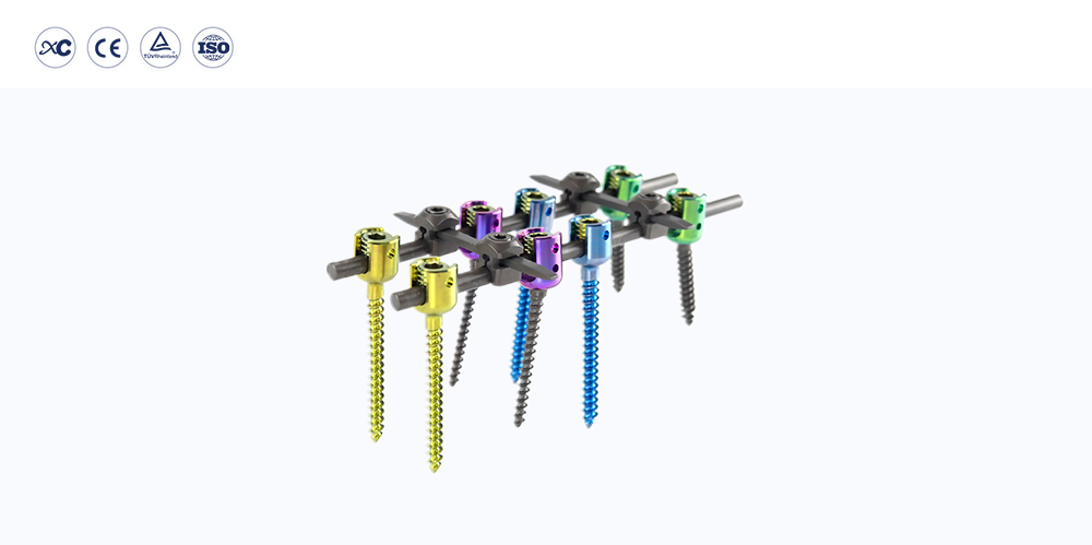 Implantes toracolumbares con sistema de tornillo pedicular espinal de 6,0 mm