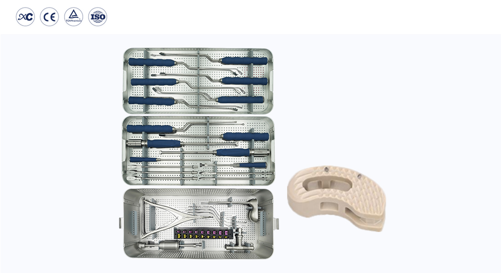 Conjunto de instrumentos de fusi&oacute;n intersom&aacute;tica y jaula lumbar TLIF PEEK