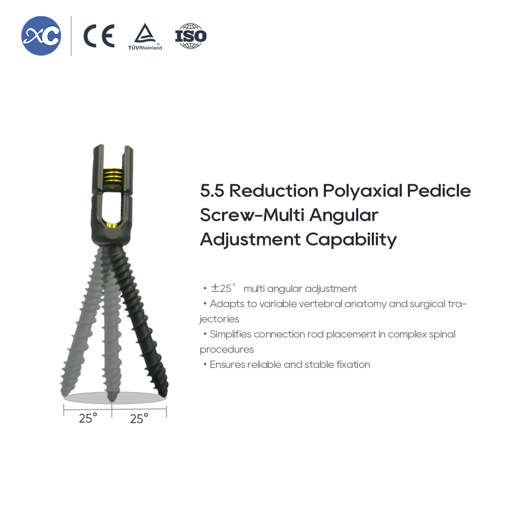 Sistema de tornillos pediculares poliaxiales de reducción 5.5
