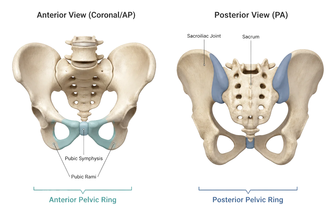 Pelvic ring anterior and posterior planning views
