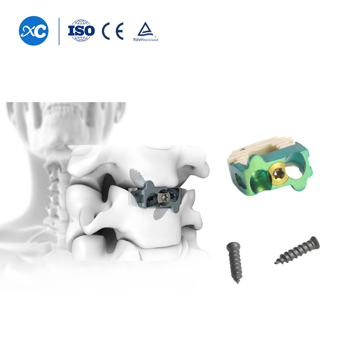 Jaula cervical de 0 perfil (dos orificios)