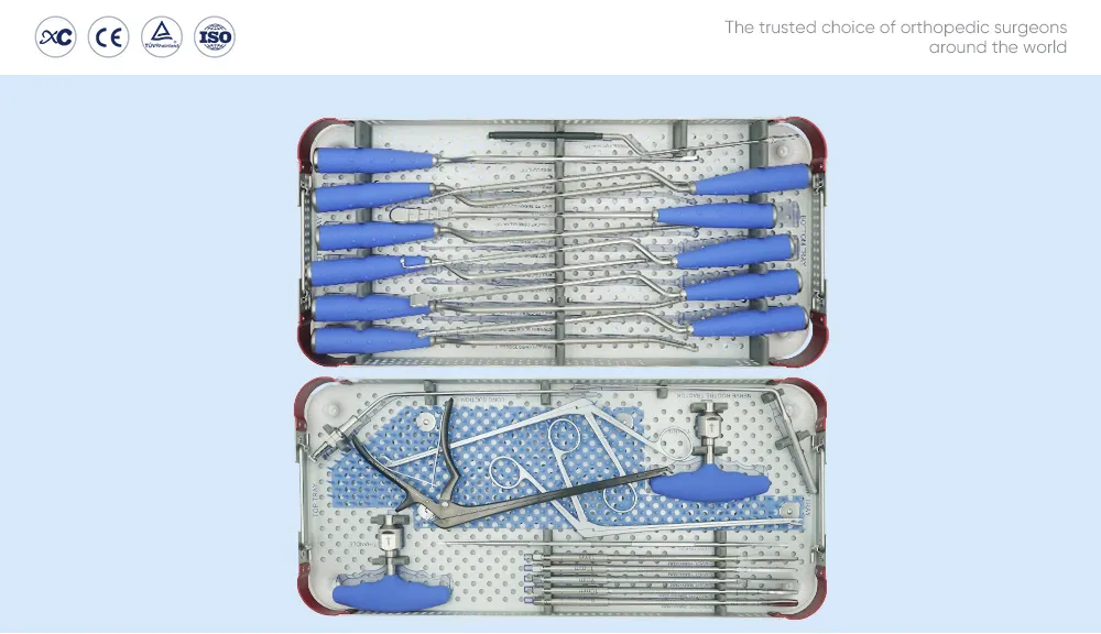 Instrumental para caja intersom&aacute;tica anterior con caja ALIF, placa de fusi&oacute;n intersom&aacute;tica lumbar anterior y tornillos de bloqueo Φ5,5 en una bandeja de esterilizaci&oacute;n de doble capa